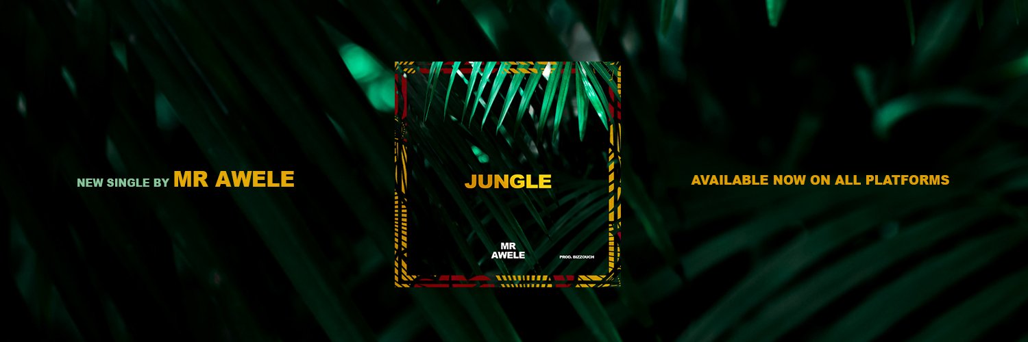 mr_awele's profile banner image