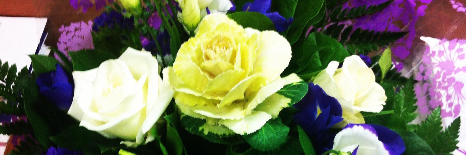 _annacallaghan's profile banner image