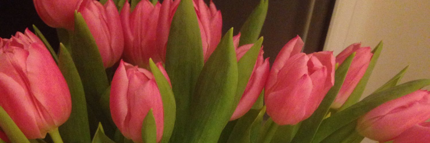 keeleyd40's profile banner image