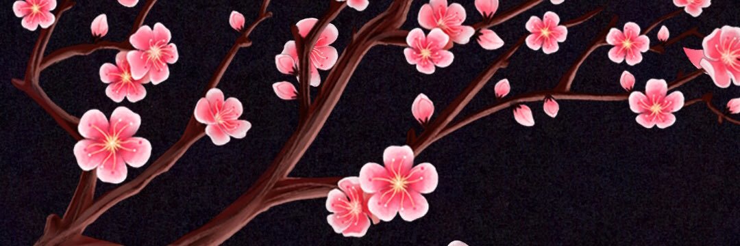 1114ma's profile banner image