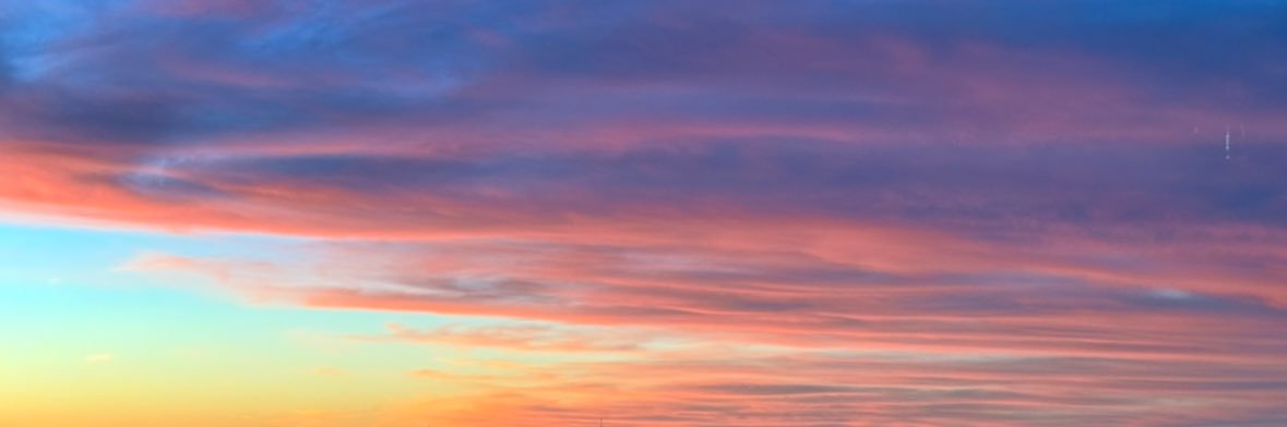 MalloryRowley's profile banner image
