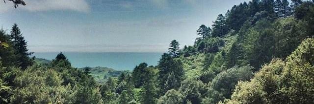 California Forestry Association banner