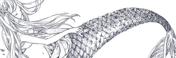 水城りゆ's banner