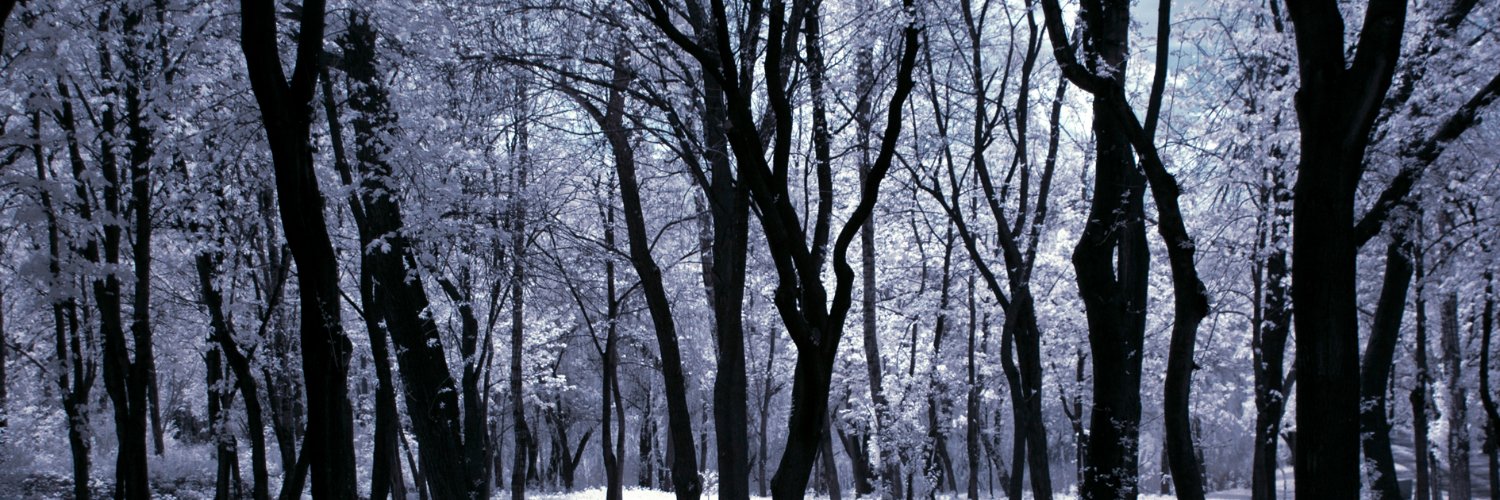 ДуркаLogistic banner