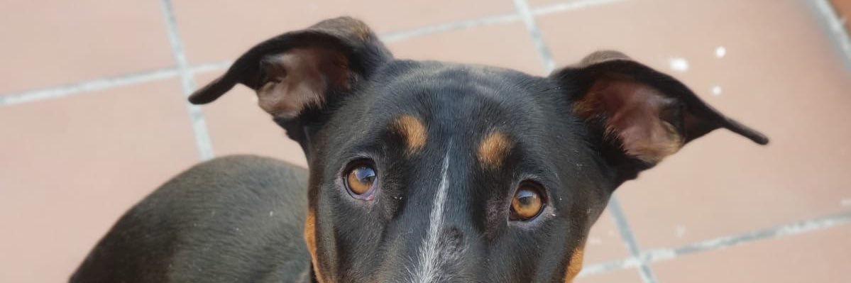 GonzlezMelina's profile banner image
