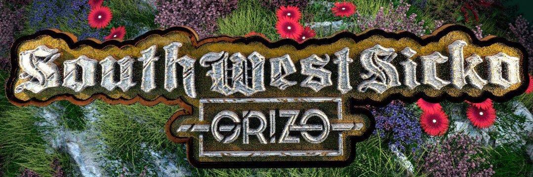 Southwest Sicko 🥷🏽 banner