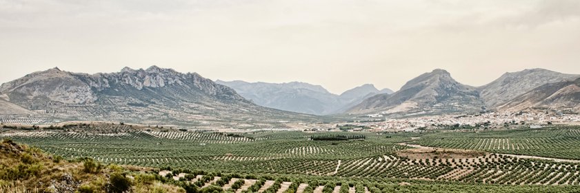KalturOfficial's profile banner image