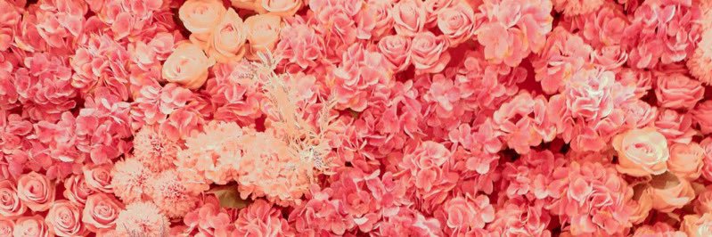 _cadalora's profile banner image