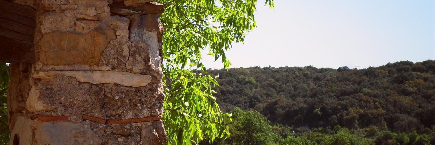 BELLESSORT FORCADE banner