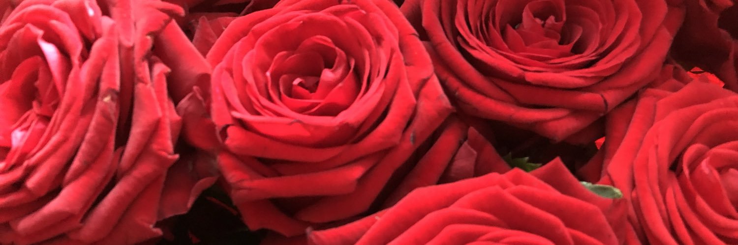 dbo_vw's profile banner image