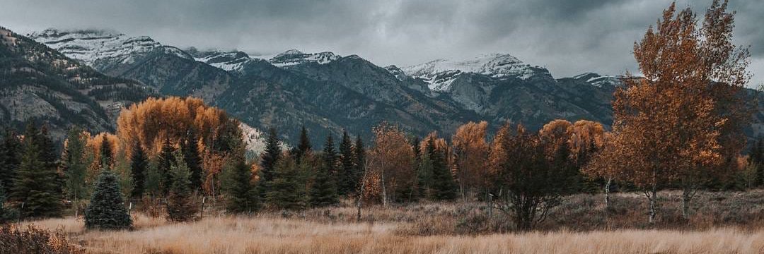 ShayeMora14's profile banner image