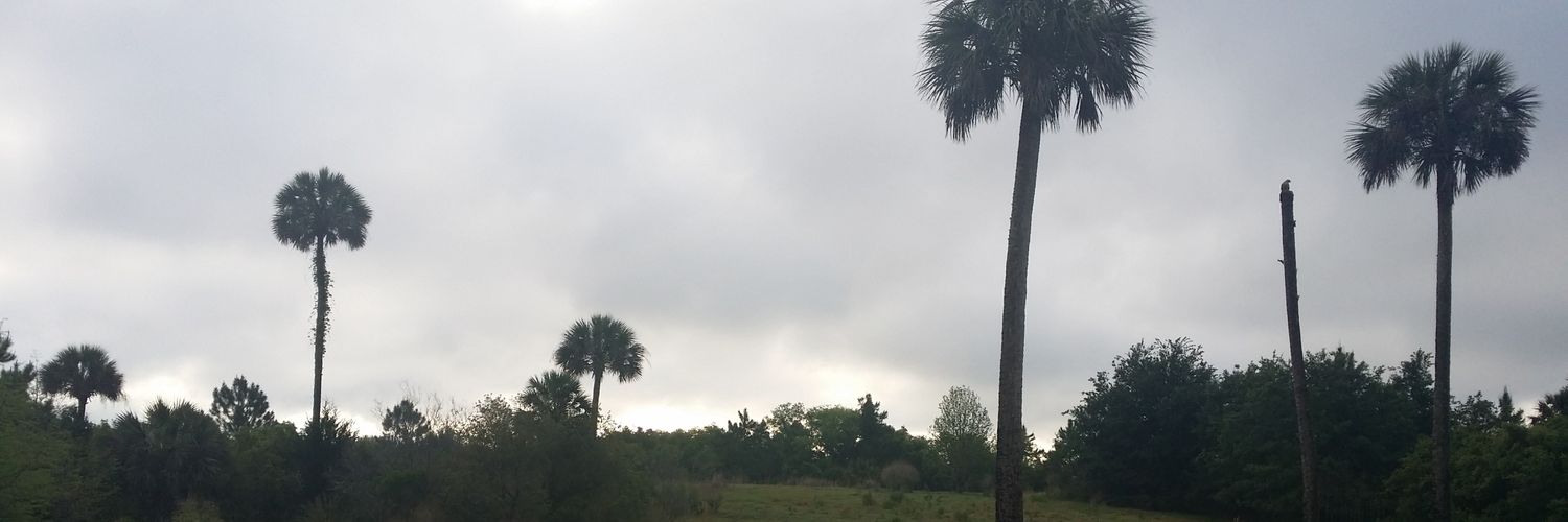 JWesleyPaul's profile banner image