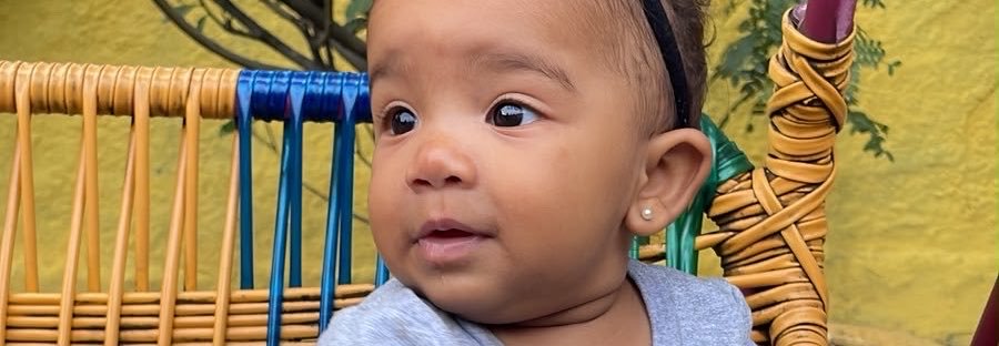 ElisaDamasio's profile banner image
