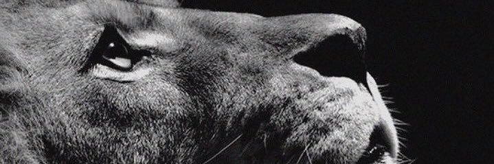 gorkemdalgic's profile banner image