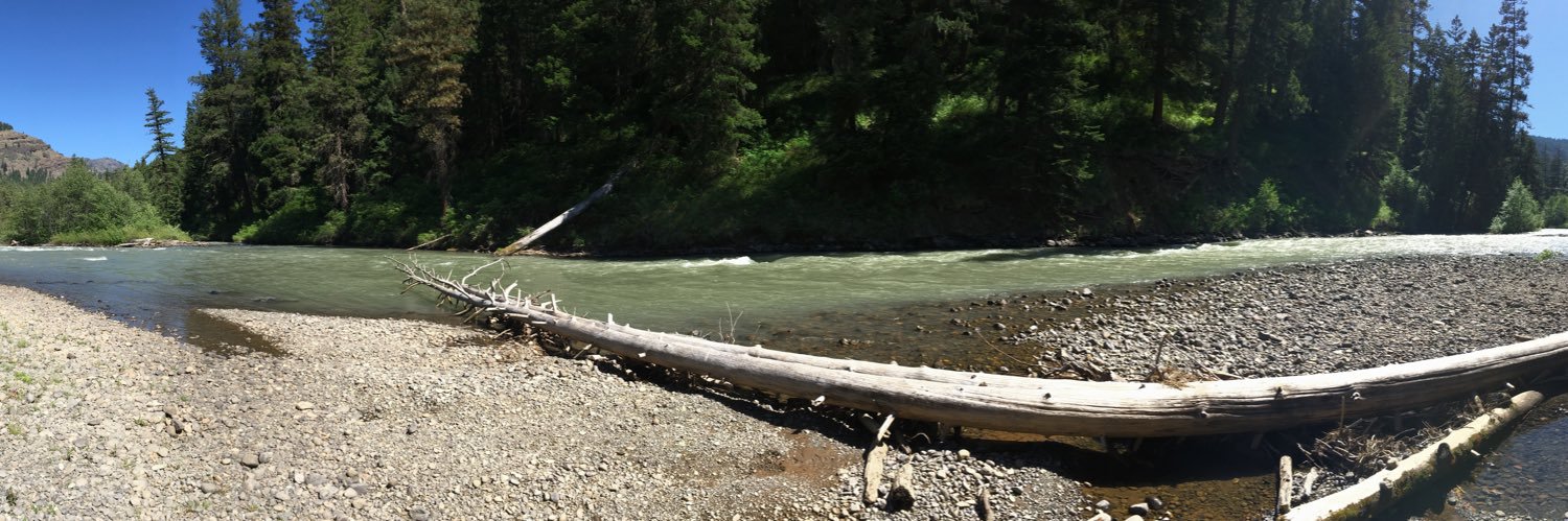 Dr. Sarah Bengston banner