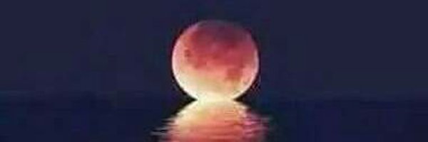 Trish_Perkins Profile Banner