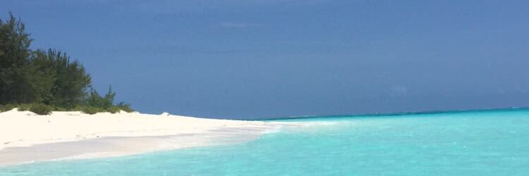 floriancatherin's profile banner image