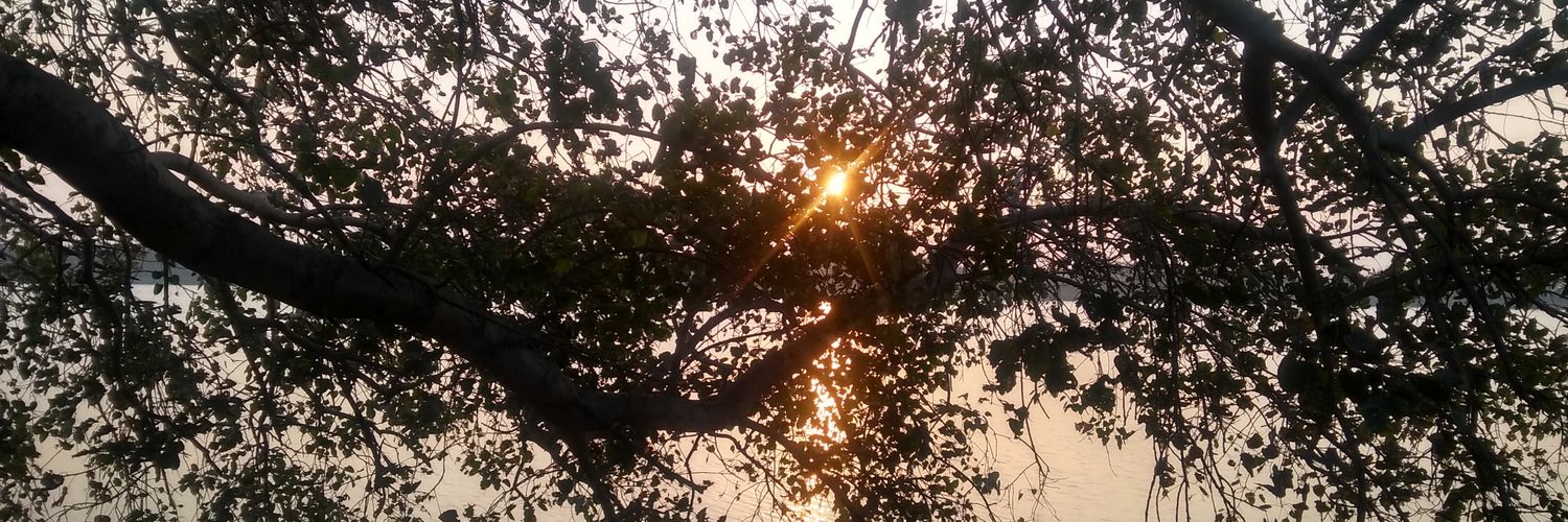 DhariniM's profile banner image