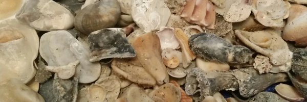 LisaSpeth Profile Banner