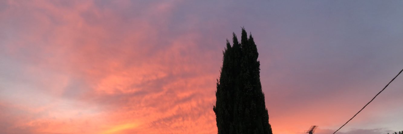 delphinecthl's profile banner image