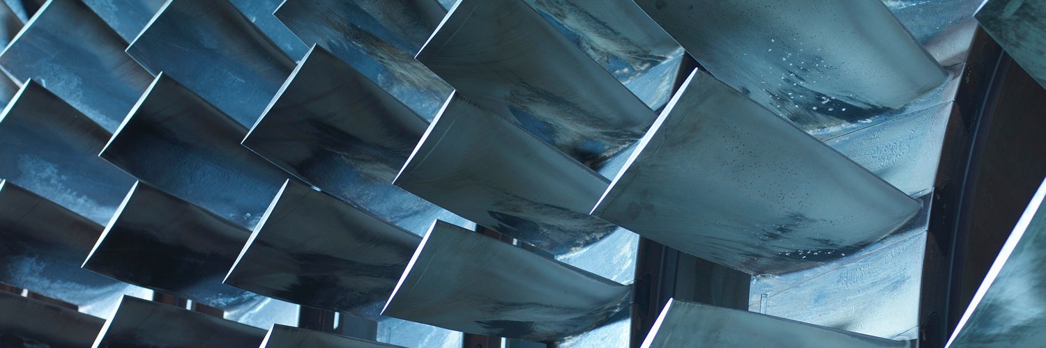 Lukavi lingvist banner