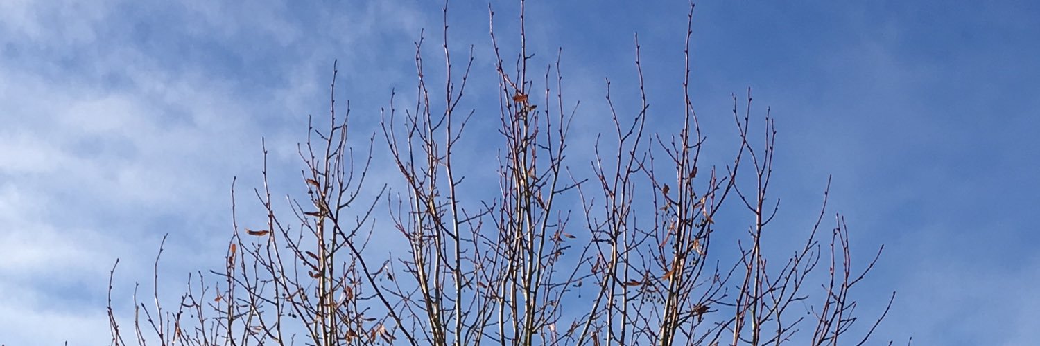 james osborne banner