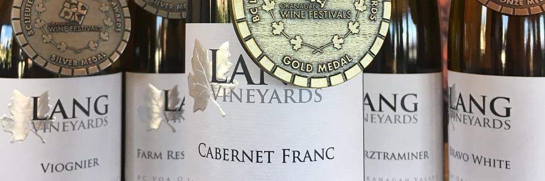 LangVineyards's profile banner image