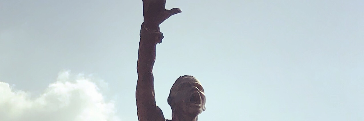 dgmesap's profile banner image