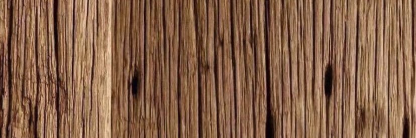 shiny_shosh's profile banner image