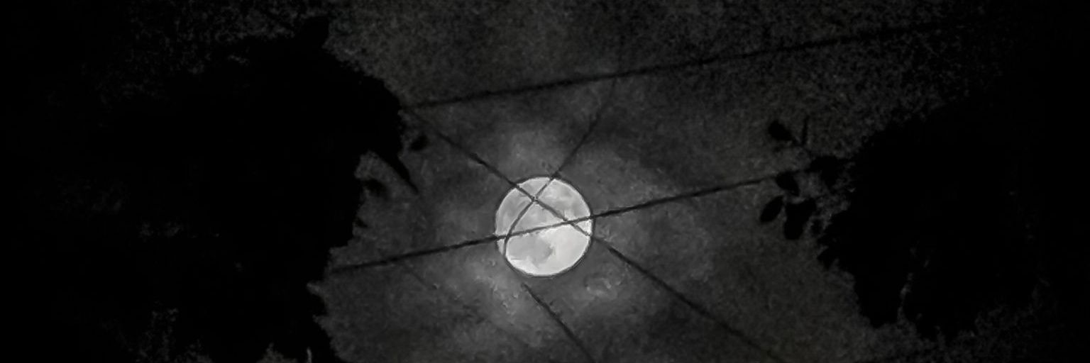 cprakash82's profile banner image