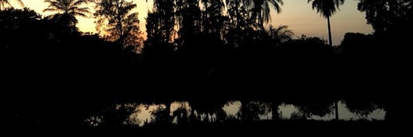 hitomi269 Profile Banner