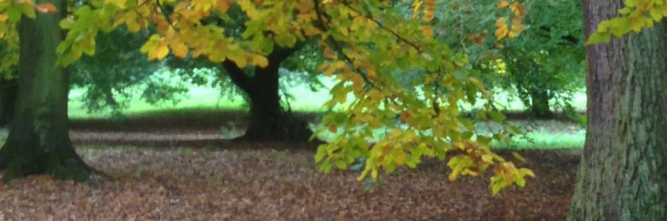 Richard Butroid banner