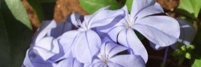 fayhmm's profile banner image