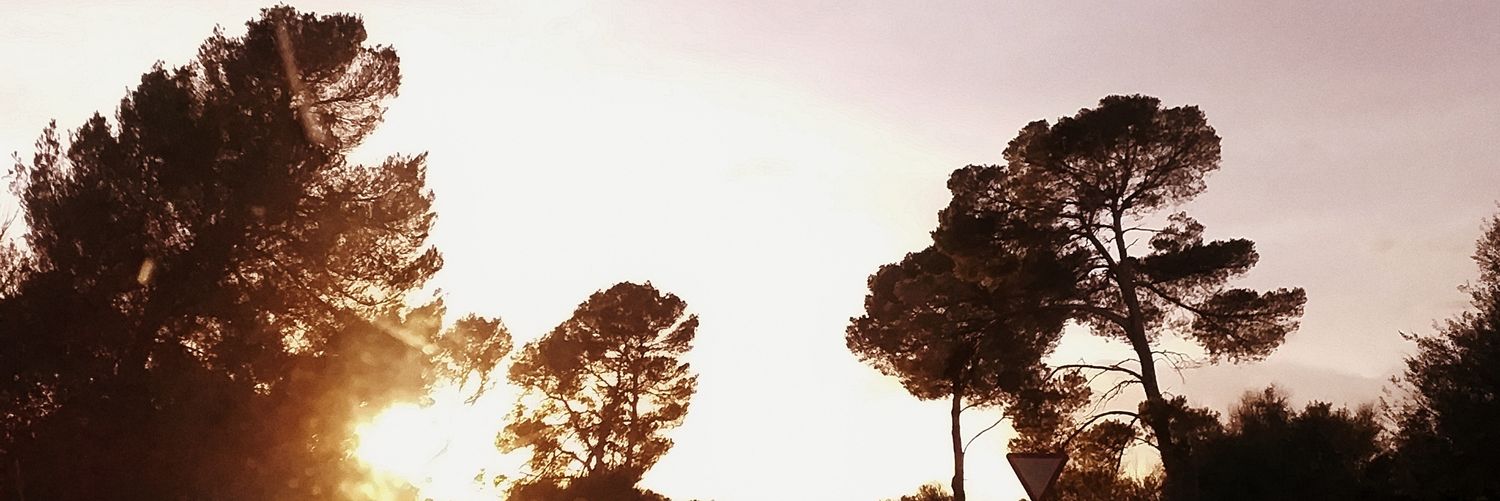 AlbaMarttin's profile banner image