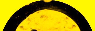 paalull's profile banner image