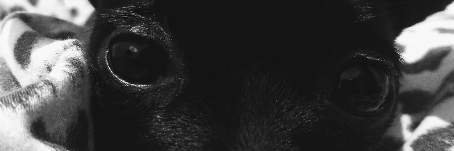 VFenerich's profile banner image