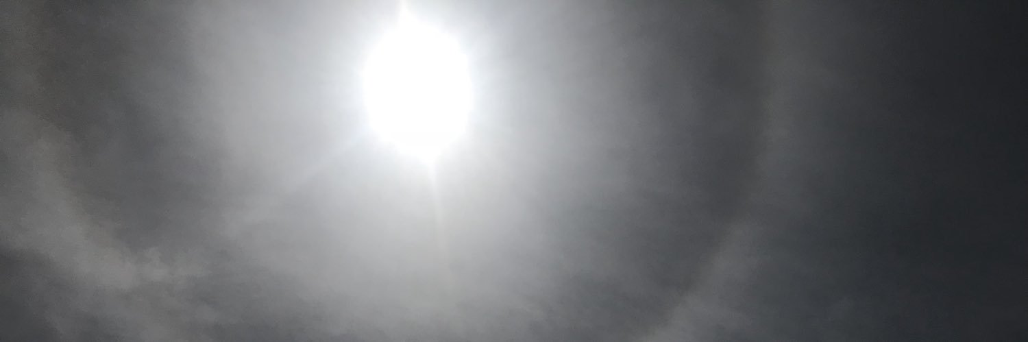 Elín Jónasdóttir banner