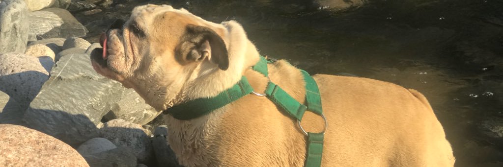 fiodiaz94's profile banner image