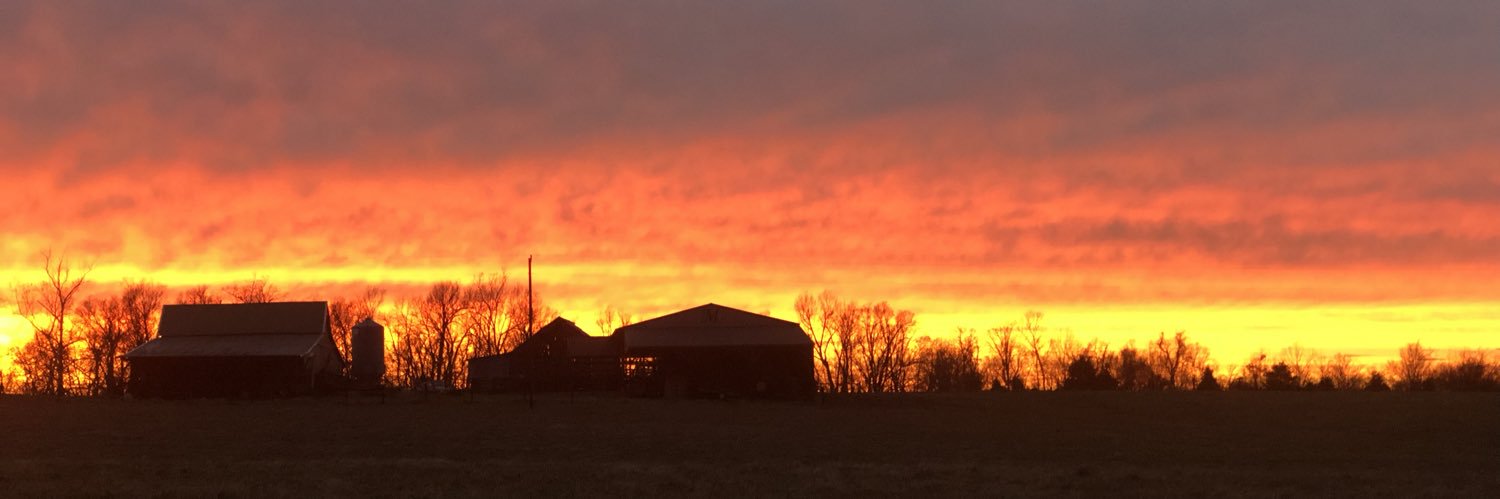 mallory_mize's profile banner image