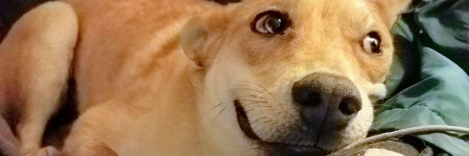 srhhnry's profile banner image