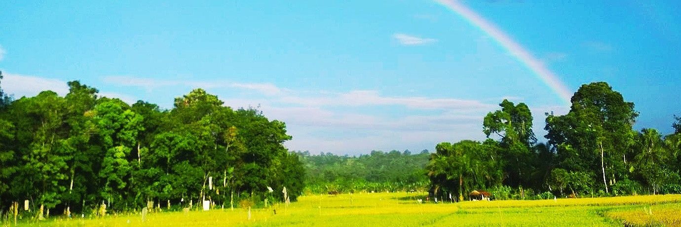 setyawanjk's profile banner image