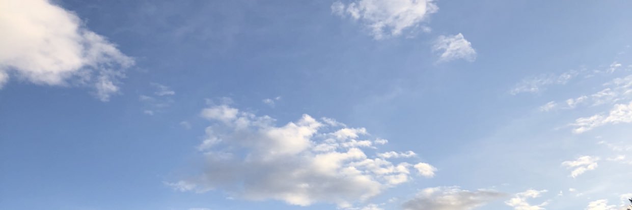 _chloethornton's profile banner image