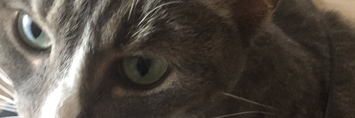 Freya_the_Queen's profile banner image