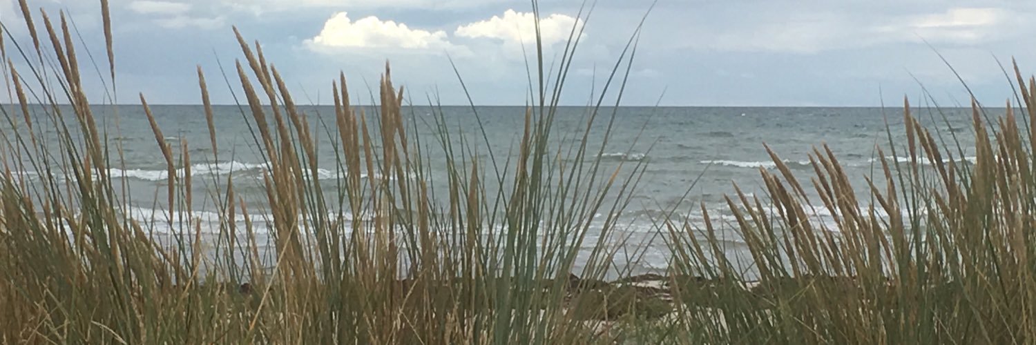 Ms_GoingtoMoon's profile banner image