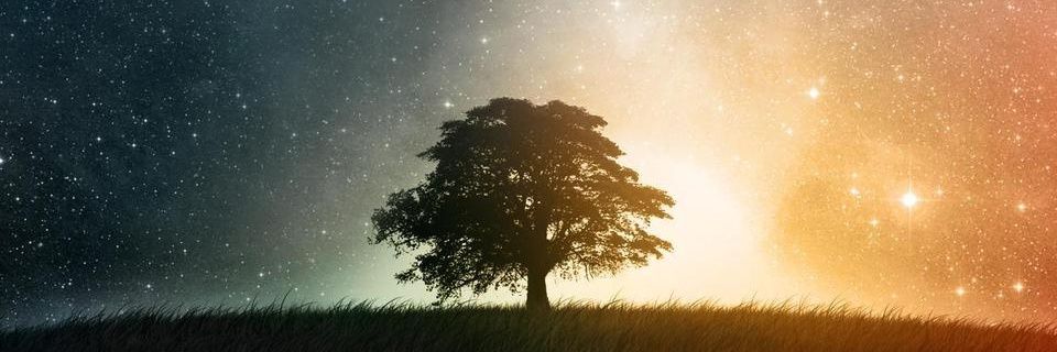 Seldon_W's profile banner image