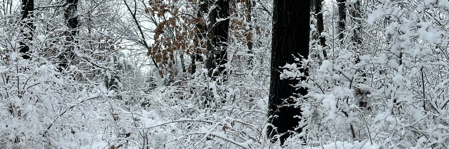 CDEGentry's profile banner image
