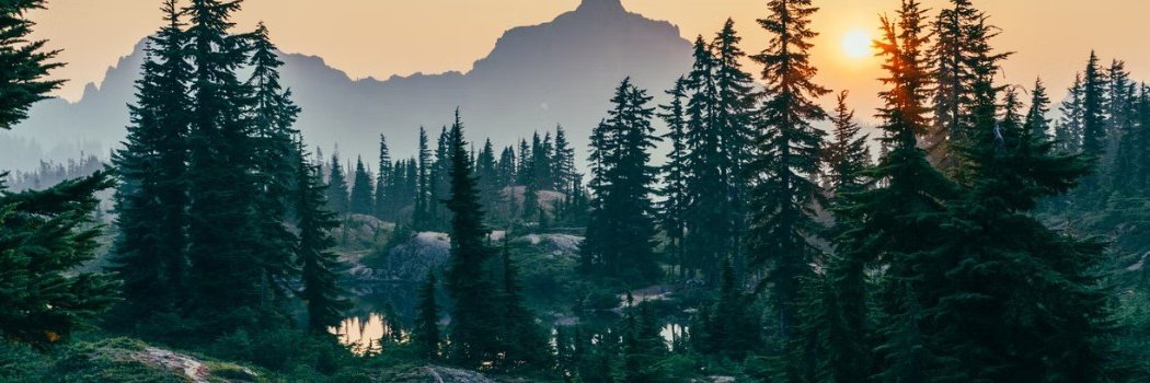 theRobinGeers's profile banner image