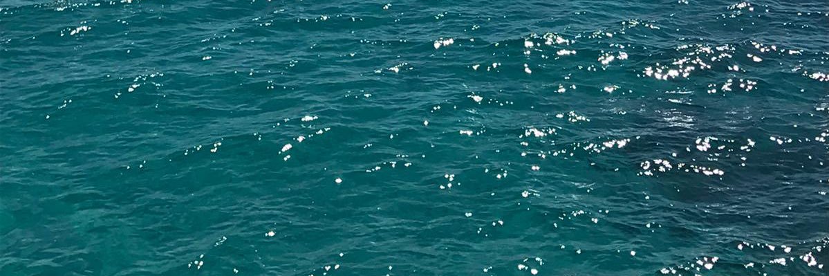 JPonseti's profile banner image