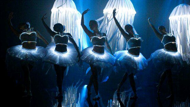 Christine Oosthuizen banner