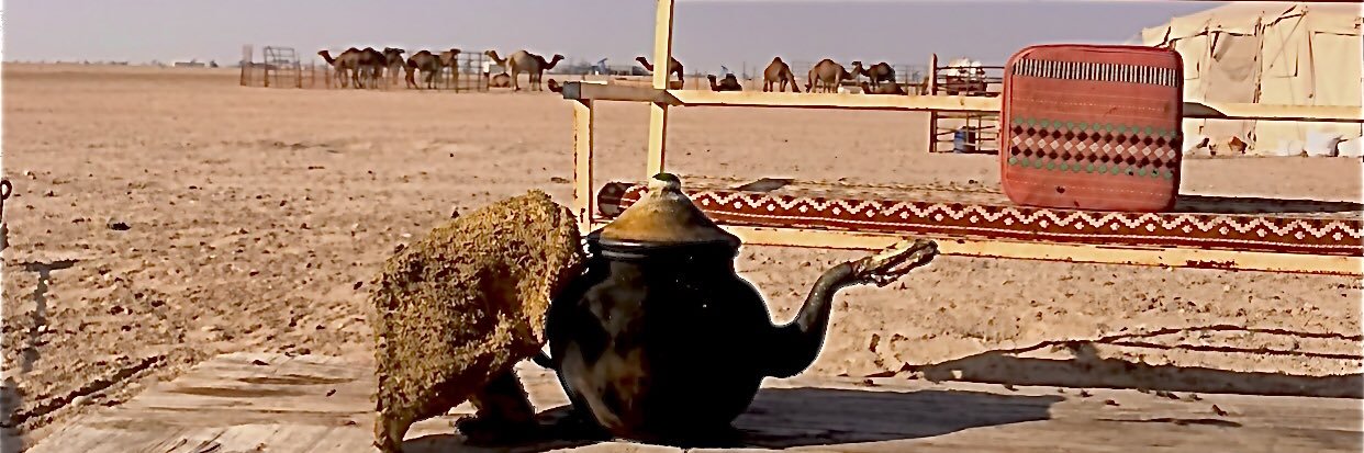 منصـور سعـد banner